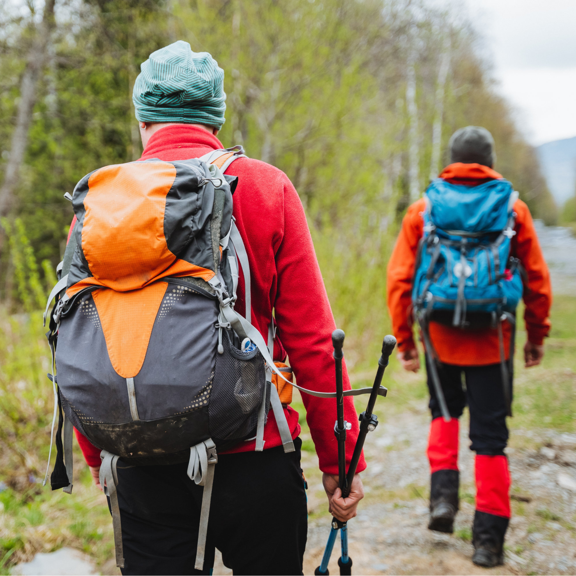 Two,Hikers,Carrying,Backpacks,And,Hiking,Poles,Trek,Through,A